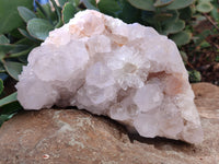 Natural Lilac Spirit Quartz Clusters x 2 From Boekenhouthoek, South Africa - Toprock Gemstones and Minerals