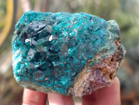 Natural Dioptase with Malachite and Chrysocolla On Dolomite Specimens x 6 From Likasi, Congo - Toprock Gemstones and Minerals