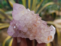 Natural Dark Purple Amethyst Spirit Quartz Clusters x 12 From Boekenhouthoek, South Africa - Toprock Gemstones and Minerals