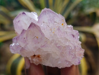 Natural Dark Purple Amethyst Spirit Quartz Clusters x 12 From Boekenhouthoek, South Africa - Toprock Gemstones and Minerals