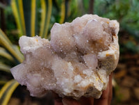 Natural Amethyst Spirit Quartz Clusters x 6 From Boekenhouthoek, South Africa - Toprock Gemstones and Minerals