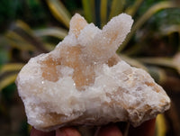 Natural Amethyst Spirit Quartz Clusters x 6 From Boekenhouthoek, South Africa - Toprock Gemstones and Minerals