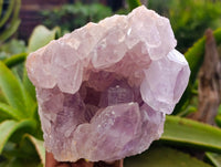 Natural Jacaranda Amethyst Quartz Geodes x 2 From Mumbwa, Zambia - Toprock Gemstones and Minerals