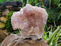 Natural Jacaranda Amethyst Quartz Geodes x 2 From Mumbwa, Zambia - Toprock Gemstones and Minerals
