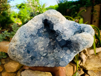 Natural Large Celestite Geode Specimen x 1 From Sakoany, Madagascar - Toprock Gemstones and Minerals