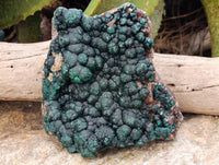 Natural Botryoidal Ball Malachite On Dolomite Matrix Specimen x 1 From Kambove, Congo - Toprock Gemstones and Minerals