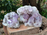 Natural Jacaranda Amethyst Quartz Cluster x 2 From Mumbwa, Zambia - Toprock Gemstones and Minerals