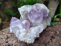 Natural Jacaranda Amethyst Quartz Cluster x 2 From Mumbwa, Zambia - Toprock Gemstones and Minerals
