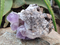 Natural Jacaranda Amethyst Quartz Cluster x 2 From Mumbwa, Zambia - Toprock Gemstones and Minerals