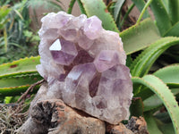 Natural Jacaranda Amethyst Quartz Cluster x 2 From Mumbwa, Zambia - Toprock Gemstones and Minerals