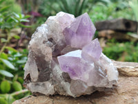 Natural Jacaranda Amethyst Quartz Cluster x 2 From Mumbwa, Zambia - Toprock Gemstones and Minerals