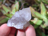 Natural Mixed Spirit Quartz Clusters x 50 From Boekenhouthoek, South Africa - Toprock Gemstones and Minerals