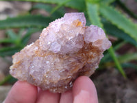 Natural Mixed Spirit Quartz Clusters x 50 From Boekenhouthoek, South Africa - Toprock Gemstones and Minerals