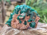 Natural Dioptase On Dolomite Specimens x 6 From Likasi, Congo - Toprock Gemstones and Minerals