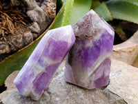 Polished Chevron Amethyst Points x 2 from Ankazobe, Madagascar - Toprock Gemstones and Minerals