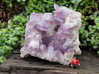 Natural Large Jacaranda Amethyst Quartz Cluster x 1 From Mumbwa, Zambia - Toprock Gemstones and Minerals