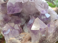 Natural Large Jacaranda Amethyst Quartz Cluster x 1 From Mumbwa, Zambia - Toprock Gemstones and Minerals