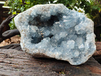 Natural Celestite Geode Specimens x 1 From Sakoany, Madagascar - Toprock Gemstones and Minerals
