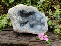 Natural Celestite Geode Specimens x 1 From Sakoany, Madagascar - Toprock Gemstones and Minerals