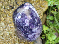 Polished Dark Purple Silver Leaf Lepidolite Standing Free Forms x 2 From Zimbabwe - Toprock Gemstones and Minerals
