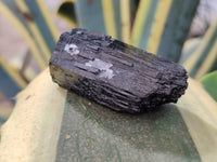 Natural Schorl Black Tourmaline Specimens x 12 From Erongo, Namibia - Toprock Gemstones and Minerals
