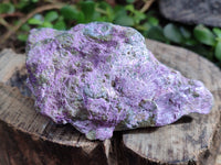 Natural Stichtite Cobbed Specimens x 12 From Barberton, South Africa - Toprock Gemstones and Minerals