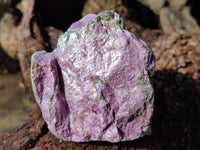 Natural Stichtite Cobbed Specimens x 12 From Barberton, South Africa - Toprock Gemstones and Minerals
