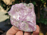 Natural Stichtite Cobbed Specimens x 12 From Barberton, South Africa - Toprock Gemstones and Minerals