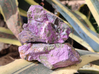 Natural Stichtite Cobbed Specimens x 12 From Barberton, South Africa - Toprock Gemstones and Minerals