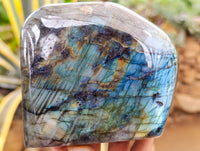 Polished Labradorite Standing Free Form x 1 From Tulear, Madagascar - Toprock Gemstones and Minerals