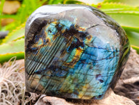 Polished Labradorite Standing Free Form x 1 From Tulear, Madagascar - Toprock Gemstones and Minerals