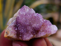 Natural Mixed Spirit Quartz Clusters x 35 From Boekenhouthoek, South Africa - Toprock Gemstones and Minerals