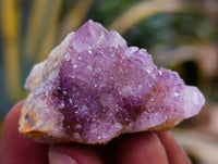 Natural Mixed Spirit Quartz Clusters x 35 From Boekenhouthoek, South Africa - Toprock Gemstones and Minerals