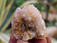 Natural Mixed Spirit Quartz Clusters x 35 From Boekenhouthoek, South Africa - Toprock Gemstones and Minerals