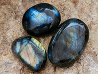 Polished Labradorite Palm Stones x 30 From Tulear, Madagascar - Toprock Gemstones and Minerals