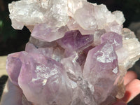 Natural Jacaranda Amethyst Quartz Clusters x 2 From Mumbwa, Zambia - Toprock Gemstones and Minerals