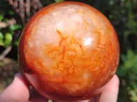 Polished Carnelian Agate Spheres x 3 From Madagascar - Toprock Gemstones and Minerals