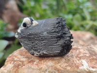 Natural Schorl Black Tourmaline with Hyalite Opal Specimens x 32 From Erongo, Namibia - Toprock Gemstones and Minerals