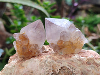 Natural Amethyst Spirit Quartz Clusters x 39 From Boekenhouthoek, South Africa - Toprock Gemstones and Minerals