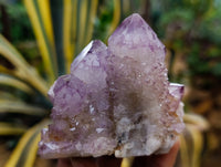 Natural Dark Amethyst Spirit Quartz Clusters x 6 From Boekenhouthoek, South Africa - Toprock Gemstones and Minerals