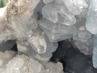 Natural Celestite Geode Specimens x 1 From Sakoany, Madagascar - Toprock Gemstones and Minerals