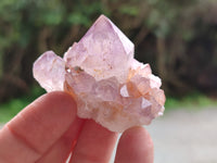 Natural Amethyst Spirit Quartz Crystals x 35 From Boekenhouthoek, South Africa - Toprock Gemstones and Minerals