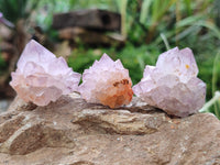 Natural Amethyst Spirit Quartz Crystals x 35 From Boekenhouthoek, South Africa - Toprock Gemstones and Minerals