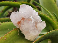 Natural Amethyst Spirit Quartz Clusters x 6 From Boekenhouthoek, South Africa - Toprock Gemstones and Minerals