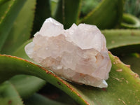 Natural Amethyst Spirit Quartz Clusters x 6 From Boekenhouthoek, South Africa - Toprock Gemstones and Minerals
