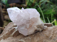 Natural Amethyst Spirit Quartz Clusters x 6 From Boekenhouthoek, South Africa - Toprock Gemstones and Minerals