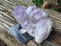Natural Jacaranda Amethyst Quartz Clusters x 2 From Mumbwa, Zambia - Toprock Gemstones and Minerals