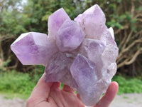 Natural Jacaranda Amethyst Quartz Clusters x 2 From Mumbwa, Zambia - Toprock Gemstones and Minerals