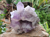 Natural Jacaranda Amethyst Quartz Clusters x 2 From Mumbwa, Zambia - Toprock Gemstones and Minerals