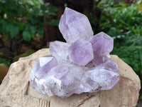 Natural Jacaranda Amethyst Quartz Clusters x 2 From Mumbwa, Zambia - Toprock Gemstones and Minerals